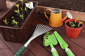 Small Gardening Kit: Big Potential in Compact Packages